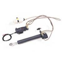 Raymarine (m81131) Type 2 Short Linear Drive - DISCONTINUED